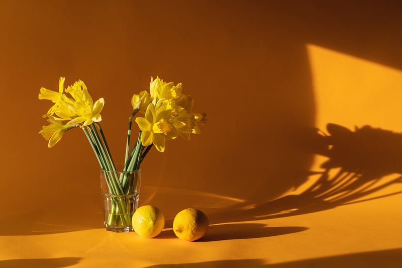 Home Tours